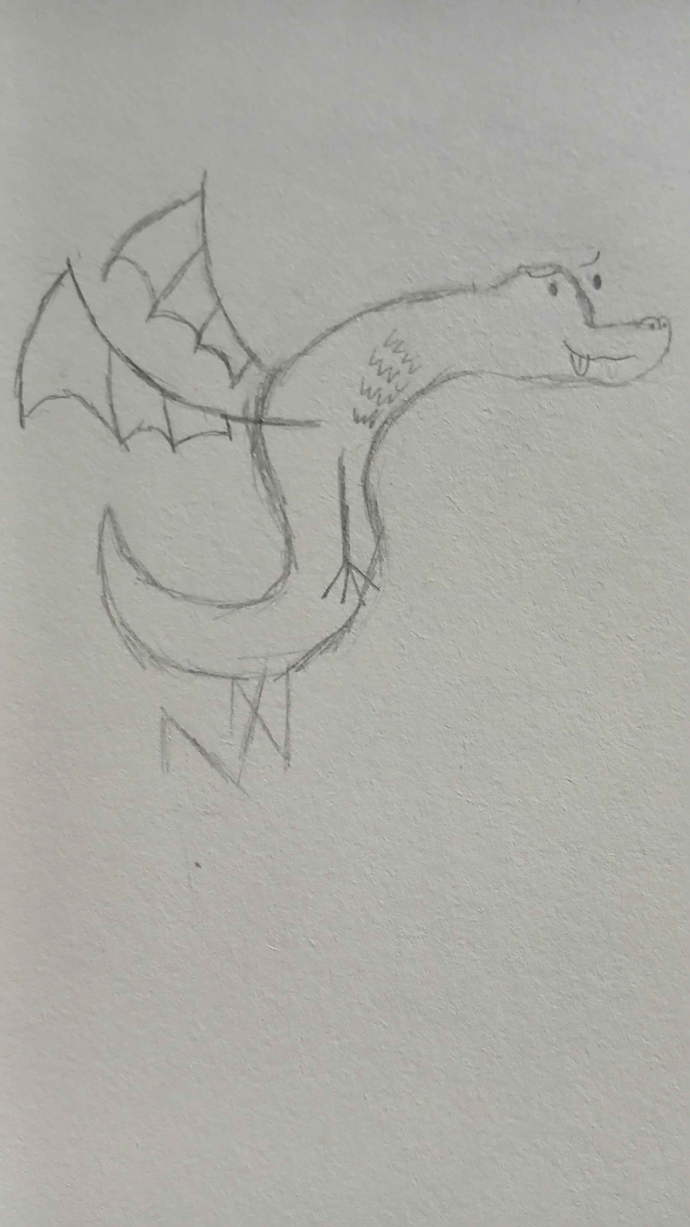 image failed to load